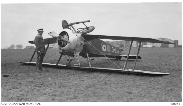 A Sopwith Camel of No. 5 (Training) Squadron, AFC following a training mishap! (