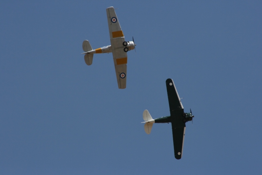 Note the variances in the tailplane and wing design of the Harvard (top) and Wirraway (bottom) - Temora Aviation Museum - February 2008