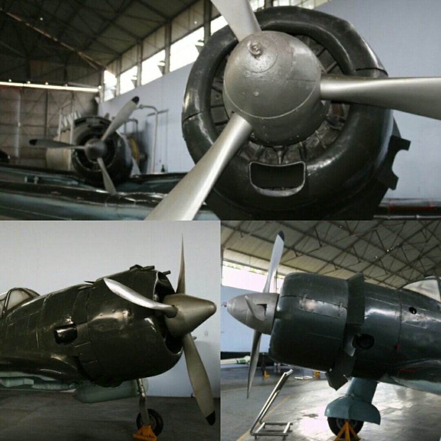 Nakajima Ki-43-II Hayabusa (Peregrine Falcon) 