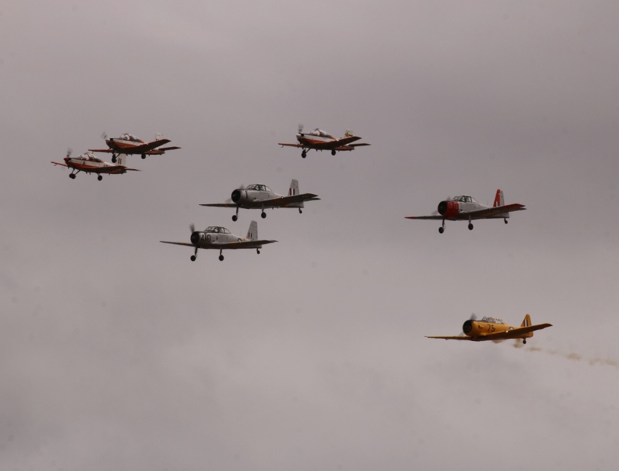 RAAF Historical Training Aircraft Flight - PAC CT-4 Airtrainers, CAC Winjeel and North American T-6 Harvard - Warbirds Downunder 2018 (Day Two)